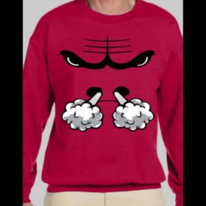 RAGING BULL CHICAGO SWEATSHIRT/ HOODIE