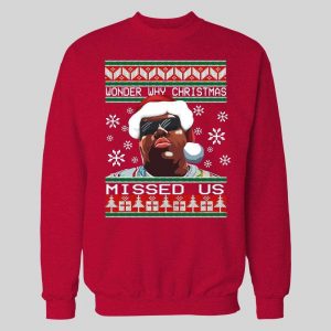 BIG POPPA WONDER WHY CHRISTMAS MISSED US CHRISTMAS HOODIE /SWEATSHIRT
