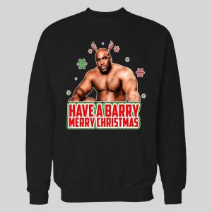HAVE A BARRY MERRY CHRISTMAS PORN STAR PARODY HIGH QUALITY HOLIDAY HOODIE/ SWEATSHIRT