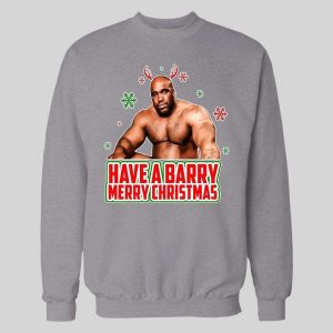 HAVE A BARRY MERRY CHRISTMAS PORN STAR PARODY HIGH QUALITY HOLIDAY HOODIE/ SWEATSHIRT