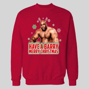 HAVE A BARRY MERRY CHRISTMAS PORN STAR PARODY HIGH QUALITY HOLIDAY HOODIE/ SWEATSHIRT