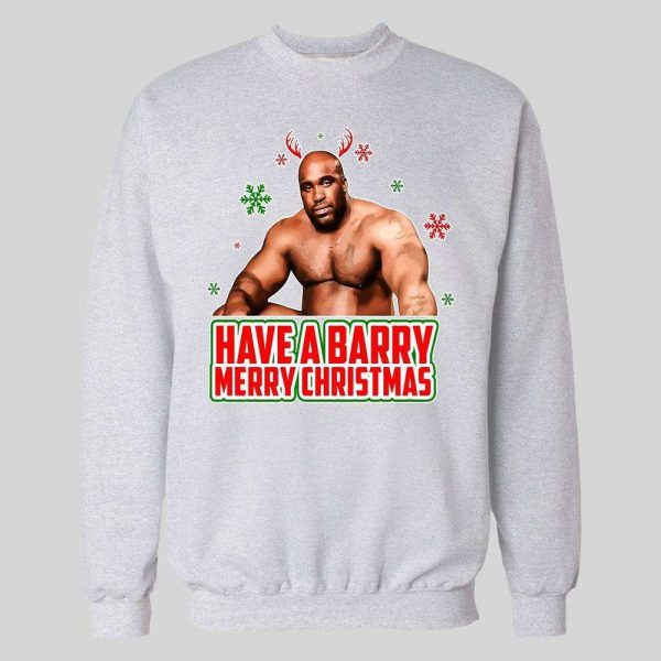 HAVE A BARRY MERRY CHRISTMAS PORN STAR PARODY HIGH QUALITY HOLIDAY HOODIE/ SWEATSHIRT