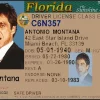 ANTONIO TONY MONTANA FLORIDA DRIVERS LICENSE CHICHI GET YAYO MOVIE QUALITY SHIRT